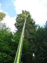 Arbres magnifiques à grimper en Rhône-alpes, près de Grenoble.