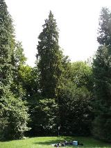 Venez faire de l'escalade dans les arbres près de chambéry.