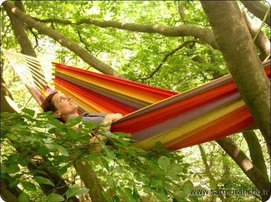 Activité sportive en foret, la grimpe d'arbres est une idée originale pour un anniversaire