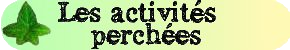 Les activités perchées