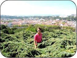 Grimpe dans les arbres sans parcours prédéfini
