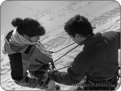 Pratiquer la grimpe d'arbres en pleine nature, le loisir vert de réference.